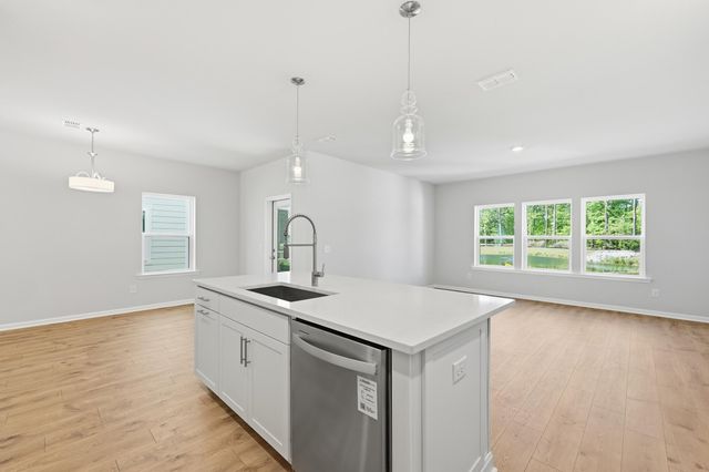 216 Twinleaf Court, Charleston, SC 29414