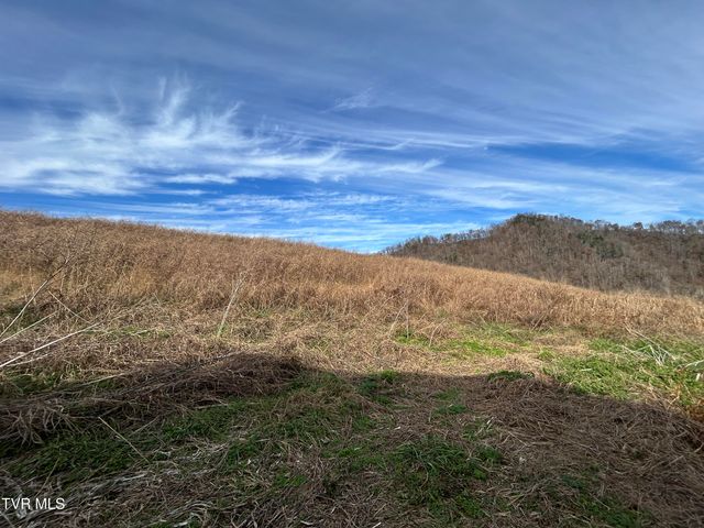 2151 Horton Ford Road, Eidson, TN 37731