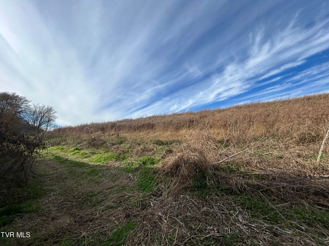 2151 Horton Ford Road, Eidson, TN 37731