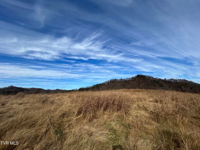 2151 Horton Ford Road, Eidson, TN 37731