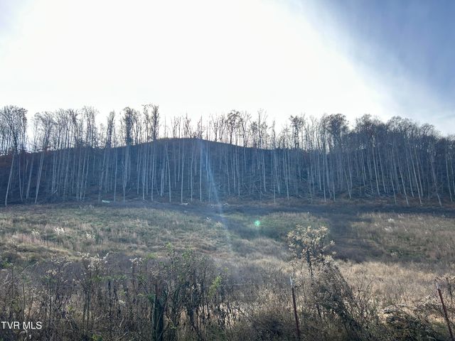 2151 Horton Ford Road, Eidson, TN 37731