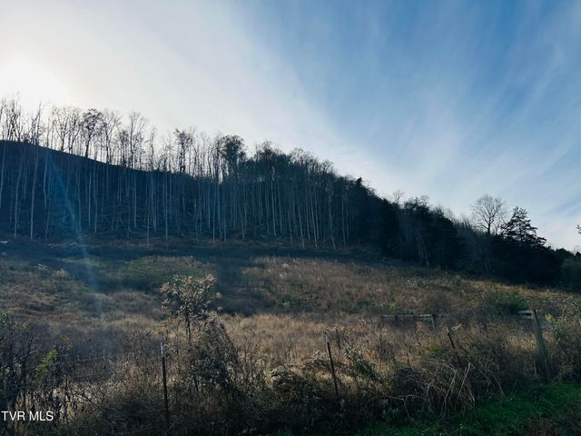 2151 Horton Ford Road, Eidson, TN 37731