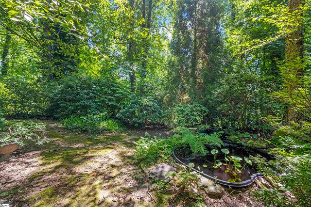 520 Esseola Street, Saluda, NC 28773
