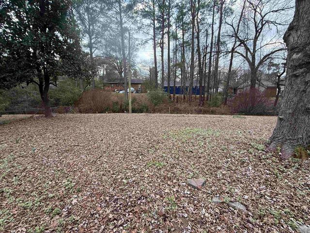 4161 TRUDY DR, Memphis, TN 38128