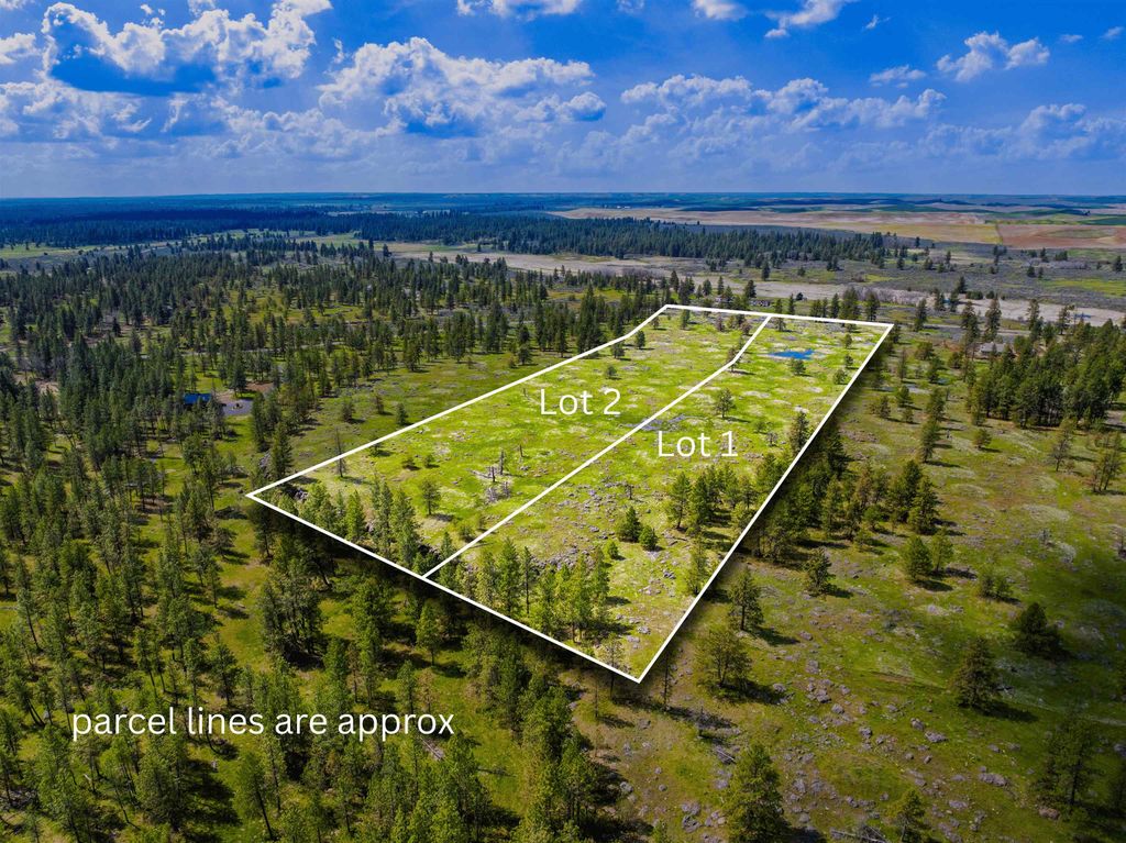 21XXX S Harrison Lot 2 Rd, Cheney, WA 99008 photo 3