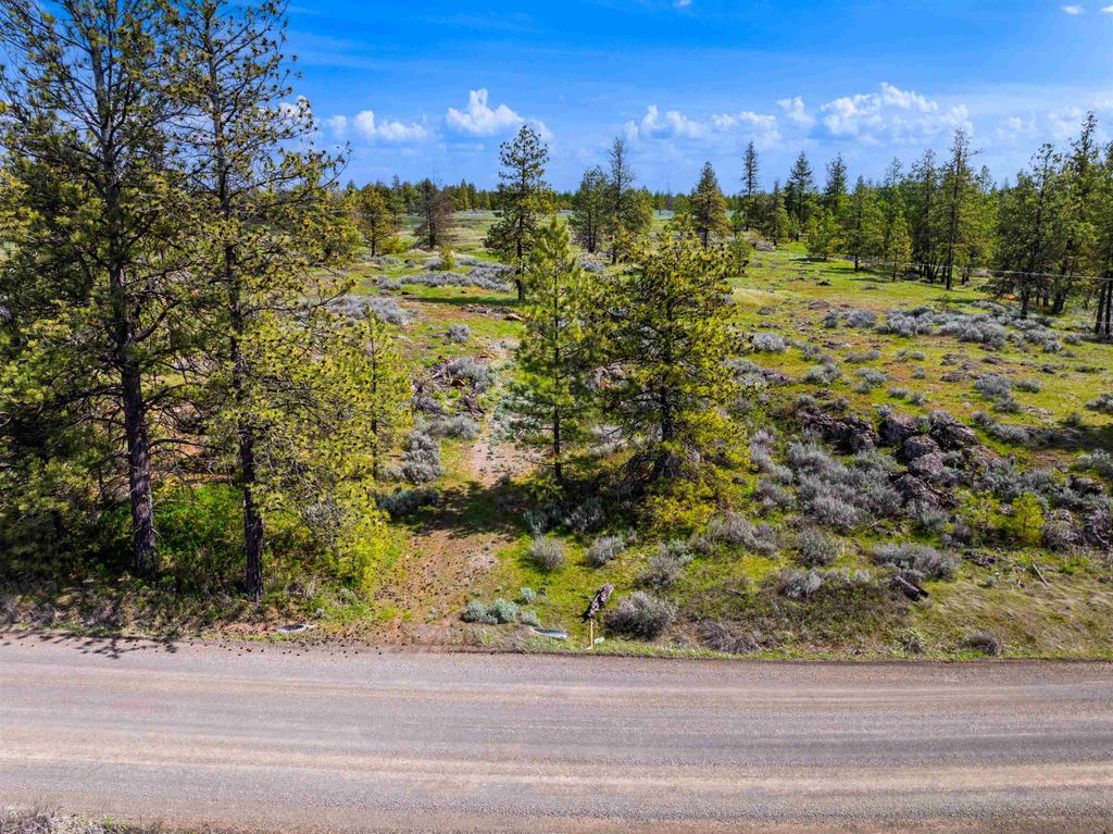21XXX S Harrison Lot 2 Rd, Cheney, WA 99008 photo 6