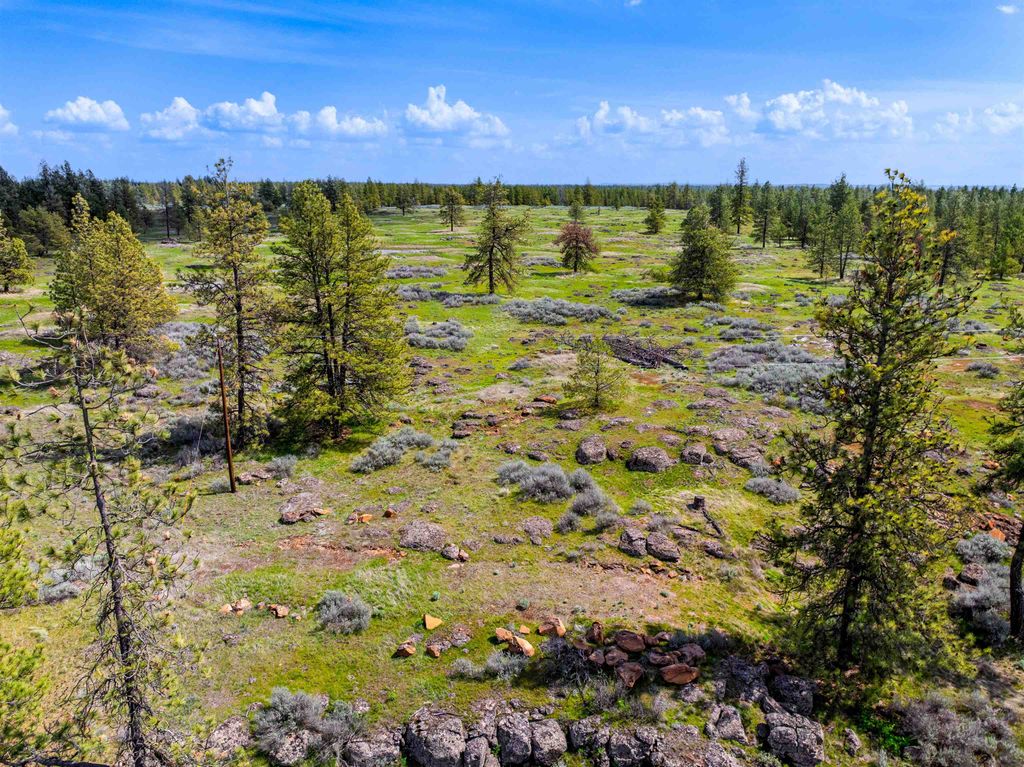 21XXX S Harrison Lot 2 Rd, Cheney, WA 99008 photo 7