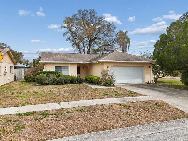 4801 RIDGE POINT DRIVE, Tampa, FL 33624