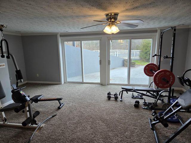 1596 Pecks Ridge -Tilton Road, Flemingsburg, KY 41041