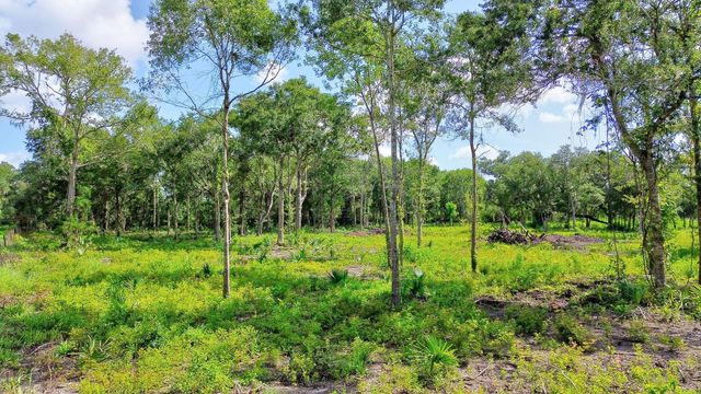 708 W Smith Street, Brazoria, TX 77422