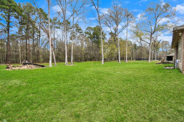 2911 Roman Forest Boulevard, New Caney, TX 77357