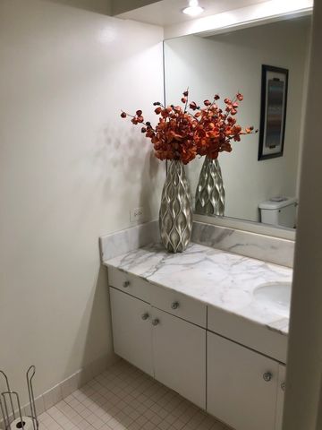 680 N Lake Shore Drive 1509, Chicago, IL 60611