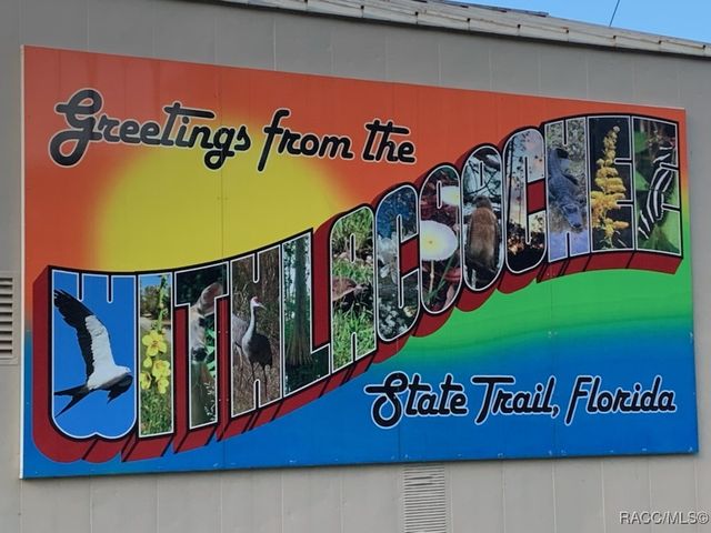 908 Pritchard Island Road, Inverness, FL 34450