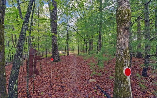 100 Carvers View Trail, Murphy, NC 28906