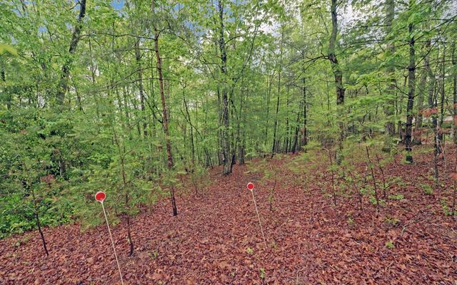 100 Carvers View Trail, Murphy, NC 28906