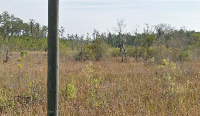 000 OLD GRADE ROAD, Polk City, FL 33868