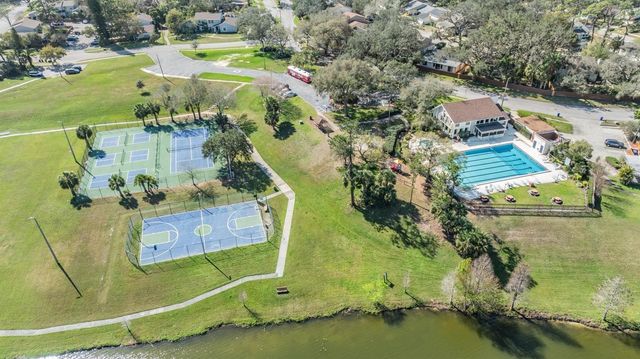 14631 LAKE FOREST DRIVE, Lutz, FL 33559