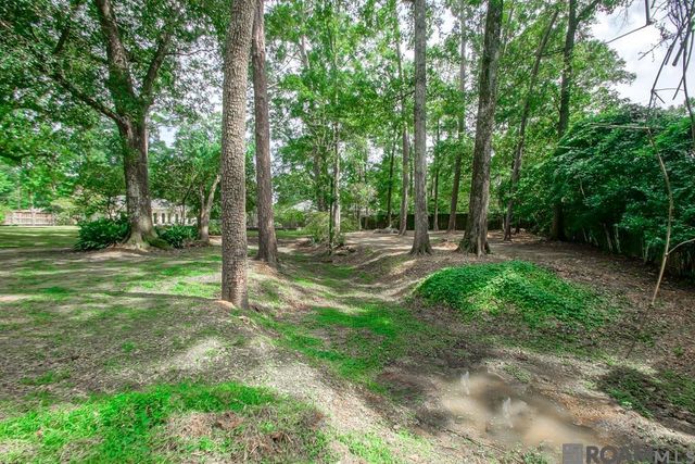 717 N River Rd, Denham Springs, LA 70726