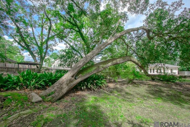 717 N River Rd, Denham Springs, LA 70726
