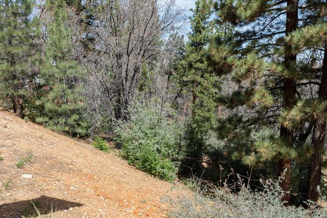 1530 Tuolumne Road, Big Bear City, CA 92314