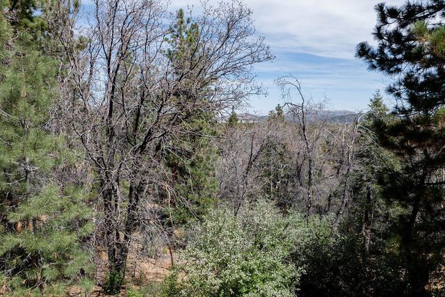 1530 Tuolumne Road, Big Bear City, CA 92314