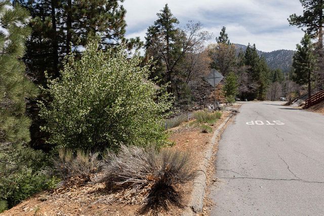 1530 Tuolumne Road, Big Bear City, CA 92314