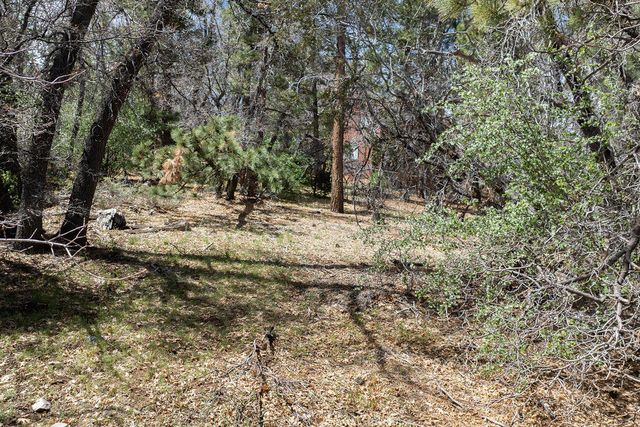 1530 Tuolumne Road, Big Bear City, CA 92314