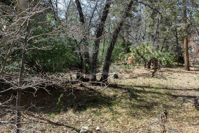 1530 Tuolumne Road, Big Bear City, CA 92314