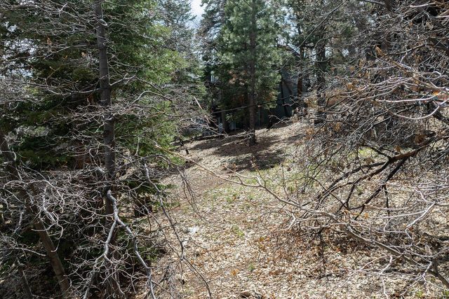 1530 Tuolumne Road, Big Bear City, CA 92314