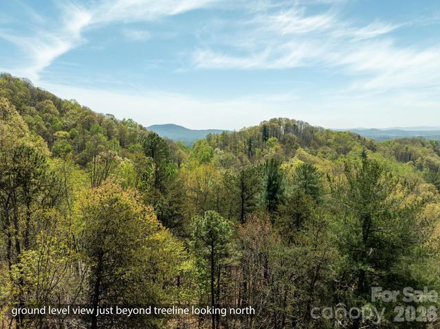 2687 Indian Grave Road, Lenoir, NC 28645