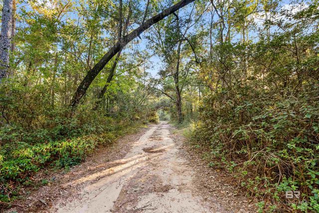 32771 Antietam Road, Lillian, AL 36549