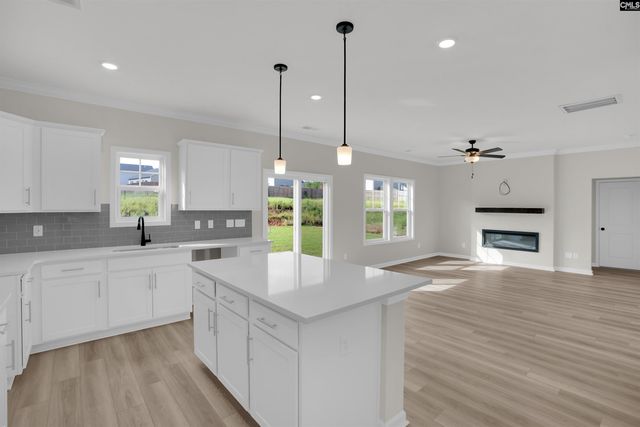 290 Caballeros Trail, Prosperity, SC 29127