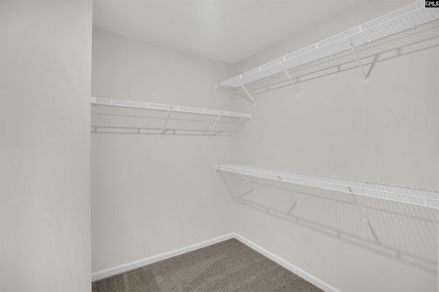 290 Caballeros Trail, Prosperity, SC 29127