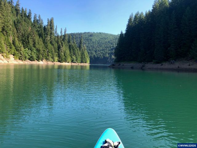 125 N Patton Rd, Detroit, OR 97342