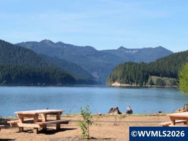 125 N Patton Rd, Detroit, OR 97342