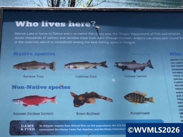 125 N Patton Rd, Detroit, OR 97342