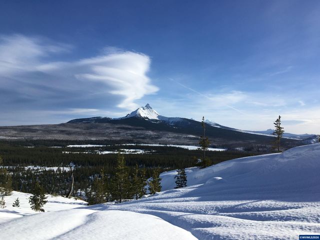 125 N Patton Rd, Detroit, OR 97342