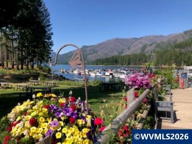 125 N Patton Rd, Detroit, OR 97342