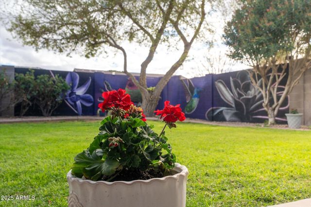 4945 E SHAPINSAY Drive, San Tan Valley, AZ 85140