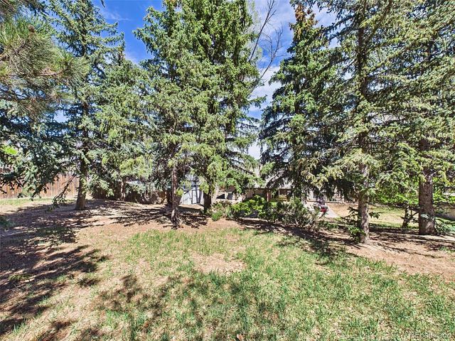 4311 S Delighted Circle, Colorado Springs, CO 80917