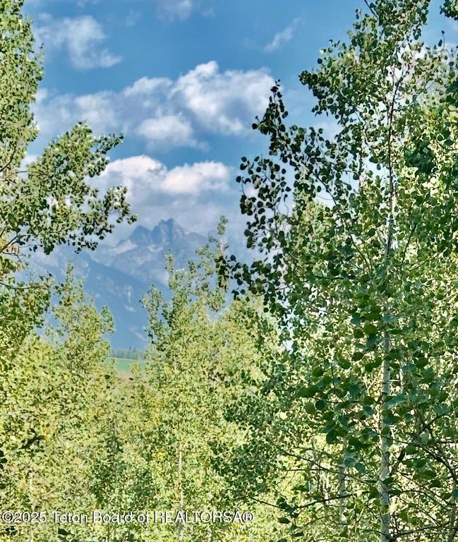855 N BAR Y Road, Jackson, WY 83001 photo 40