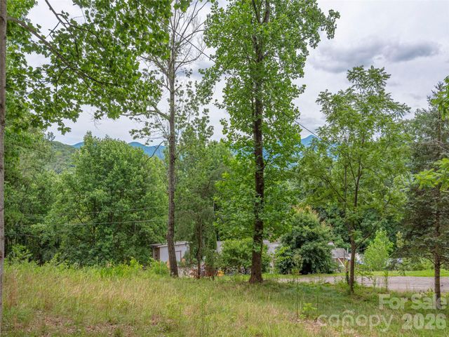 87 Holly Ridge Road, Candler, NC 28715