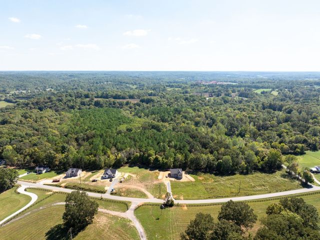 0 Old County House Road, Charlotte, TN 37036