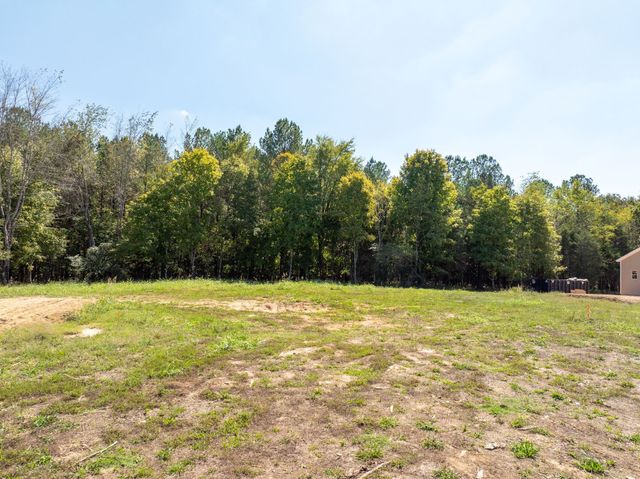 0 Old County House Road, Charlotte, TN 37036