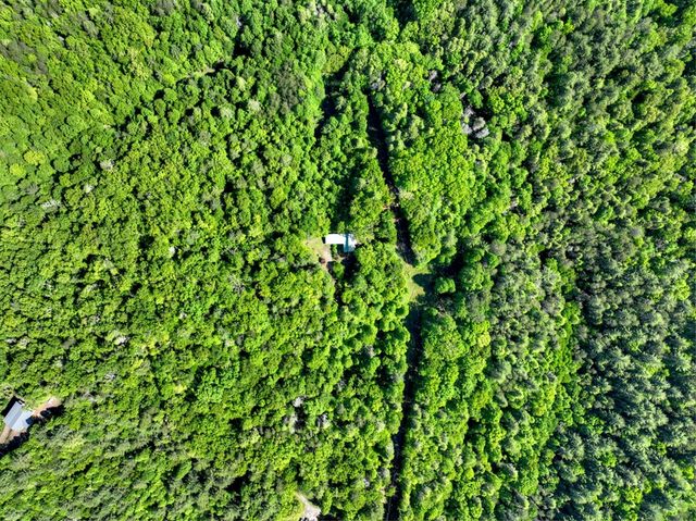 352 Messer Drive, Copperhill, TN 37317