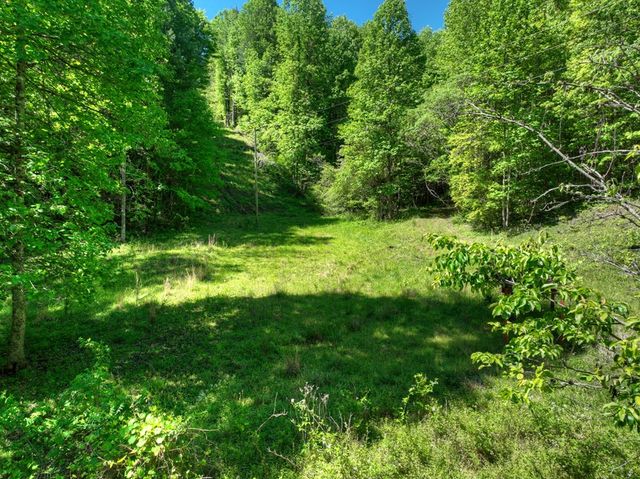 352 Messer Drive, Copperhill, TN 37317