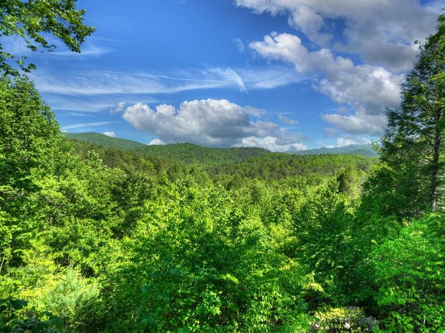 352 Messer Drive, Copperhill, TN 37317