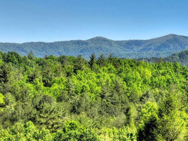 352 Messer Drive, Copperhill, TN 37317