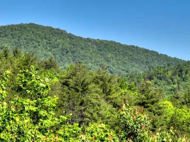 352 Messer Drive, Copperhill, TN 37317