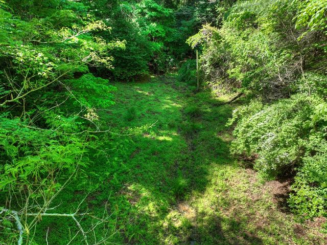 352 Messer Drive, Copperhill, TN 37317